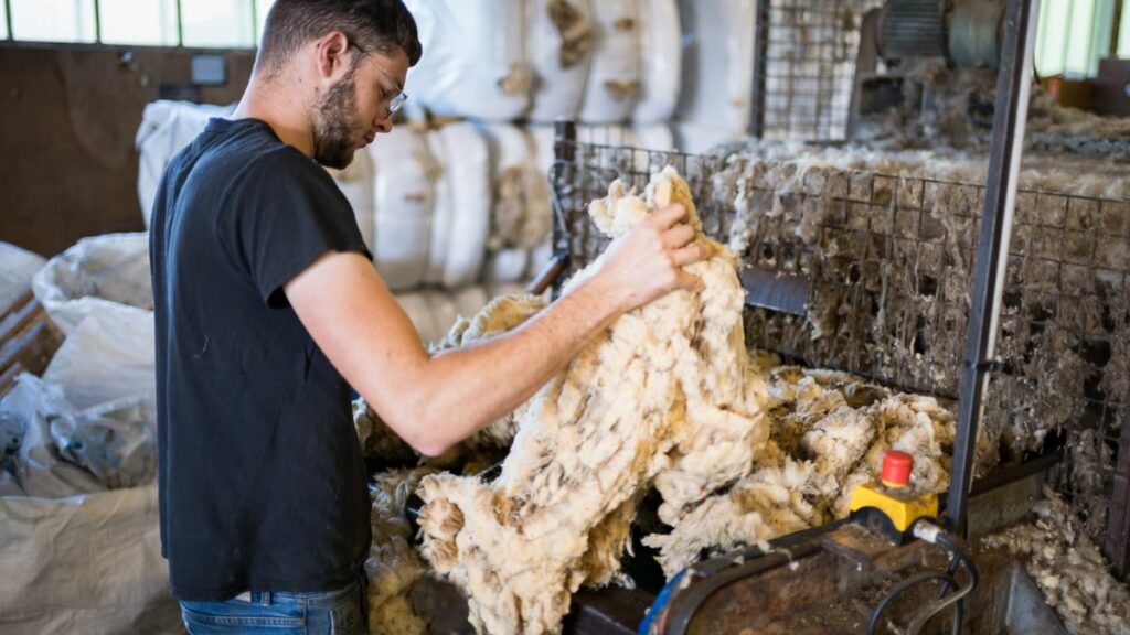 étape de fabrication de couette en laine